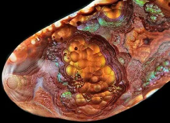 鎮平貼吧科技新品亮相,體驗未來生活新紀元最新動態