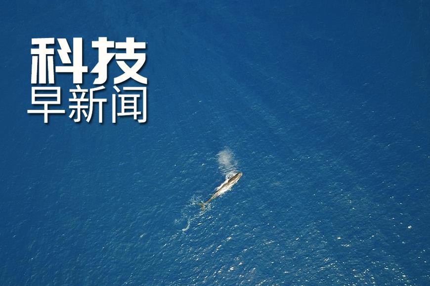 科技前沿新聞,引領未來,感受科技的魅力