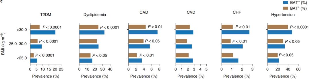腦疾病最新研究，重塑大腦信心與成就感之路