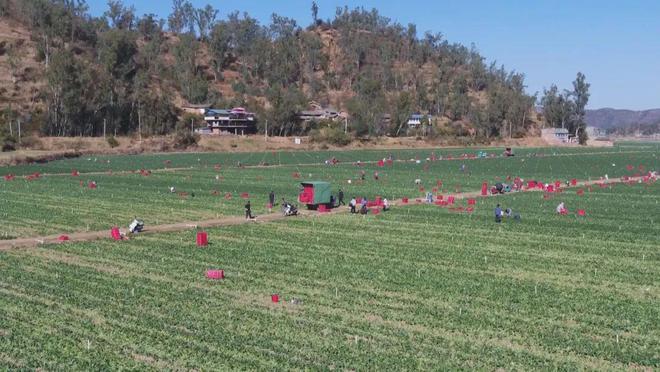 大姚最新科技項(xiàng)目重塑未來生活體驗(yàn),引領(lǐng)潮流新篇章