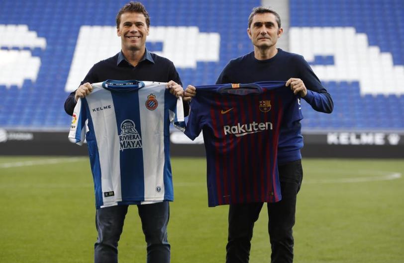 最新體育直播，與大自然共舞，探索寧靜的內心之旅