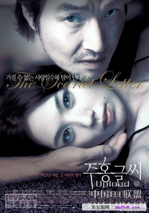 最新內(nèi)地倫理電影探索與啟示,揭示社會(huì)倫理的啟示與價(jià)值