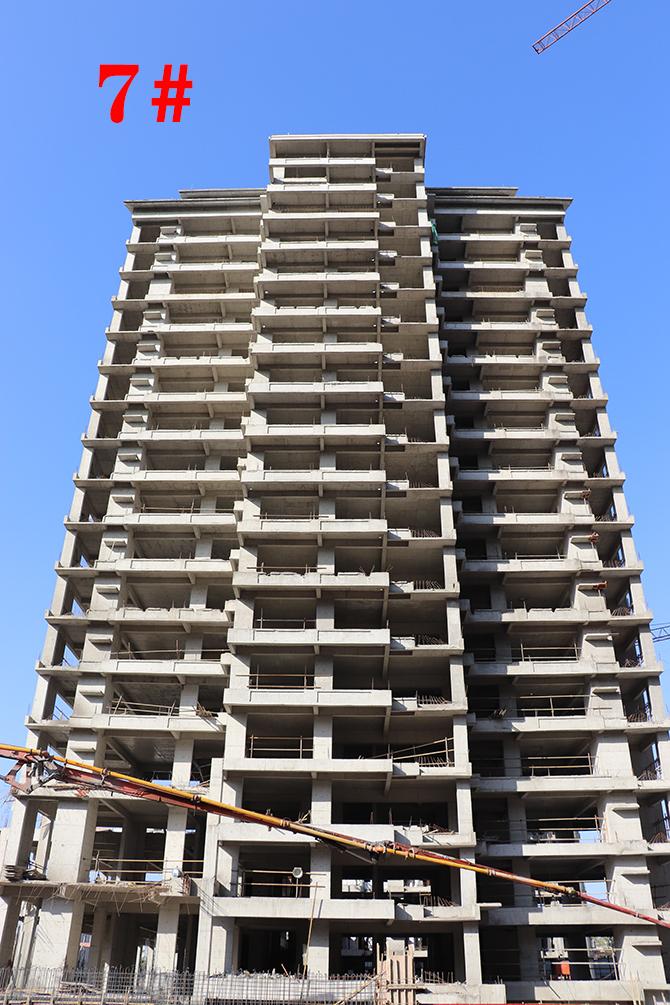 平輿最新樓盤市場現(xiàn)狀與前景展望,深度解析市場趨勢與發(fā)展前景展望