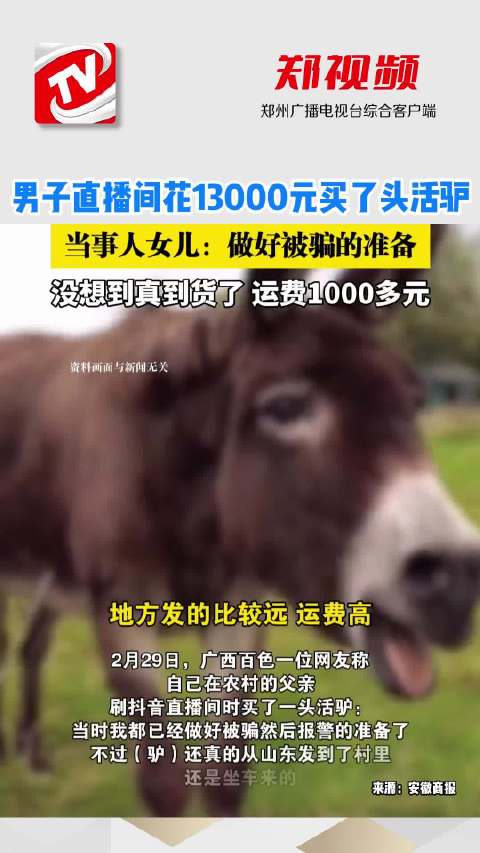 活驢最新價格探討與觀點闡述