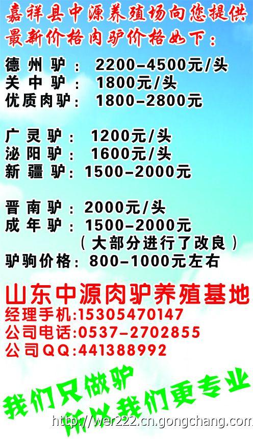 活驢最新價格探討與觀點闡述