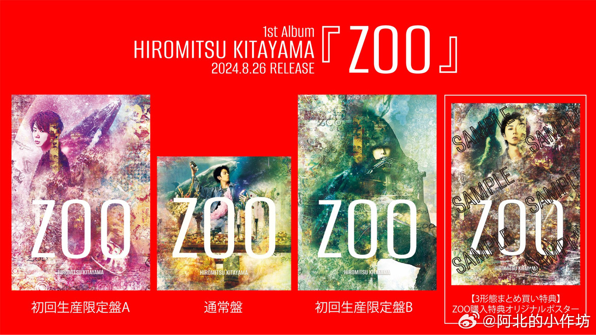 最新Zo狗詳細(xì)步驟指南,從入門到精通的全方位指南