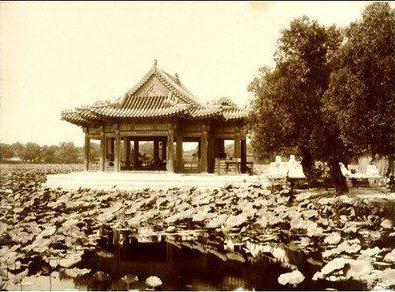 小巷深處的文化瑰寶,西書房最新動態