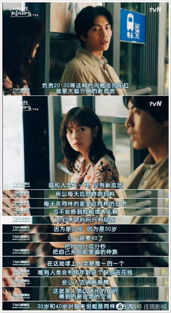 最新韓劇親吻,勵(lì)志之力與自信蛻變的情感之旅