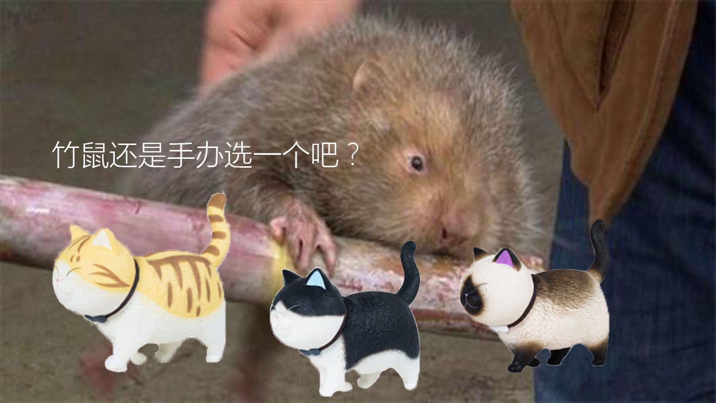 最新竹鼠科技產品革新生活體驗