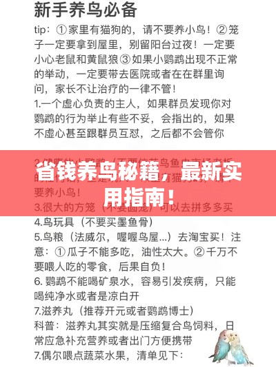 最新養(yǎng)鳥法規(guī)解析,觀點闡述與深度探討