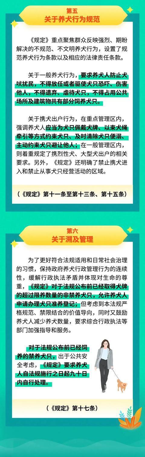 最新養鳥法規解析,觀點闡述與深度探討