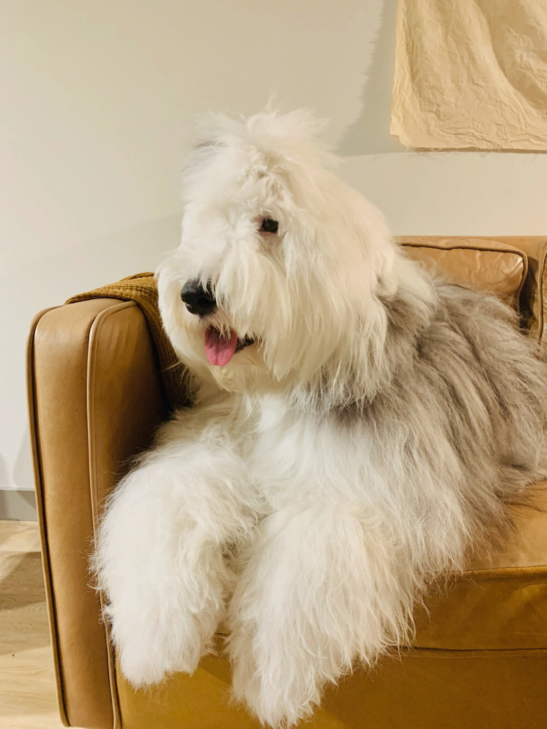 古牧新動(dòng)向,學(xué)習(xí)變化,自信前行,與夢(mèng)想共舞之路