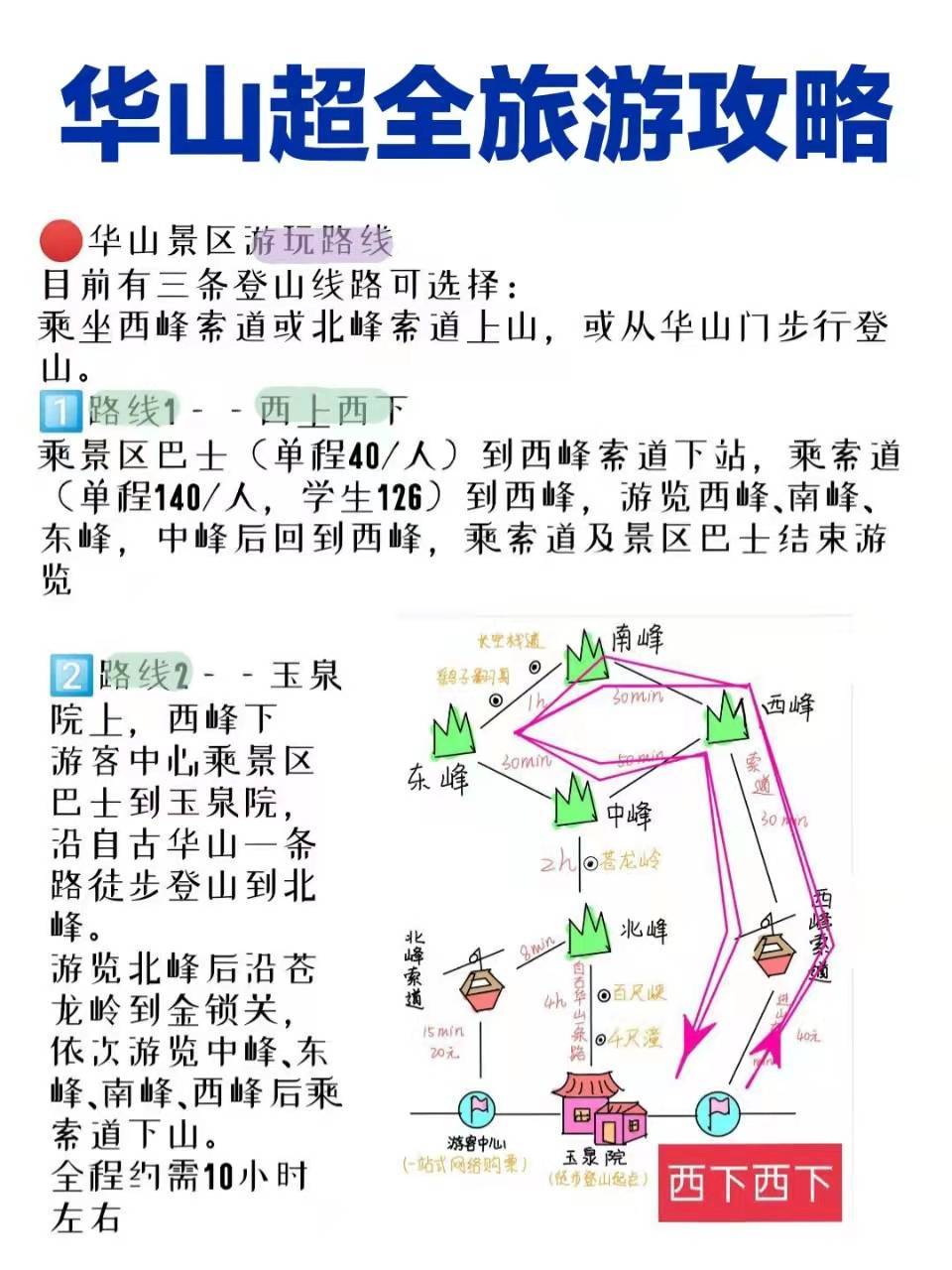 華山旅游最新探秘，小巷中的獨特風味之旅