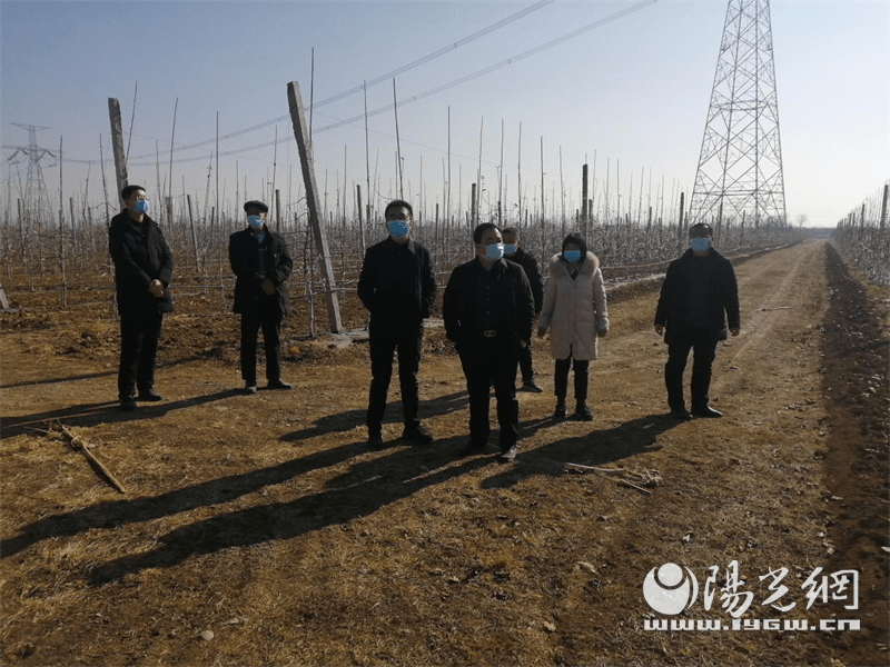 長武縣最新疫情背景、進(jìn)展及影響概述