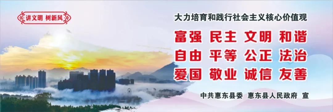 惠州肺炎最新動態，小巷深處的獨特小店背后的故事