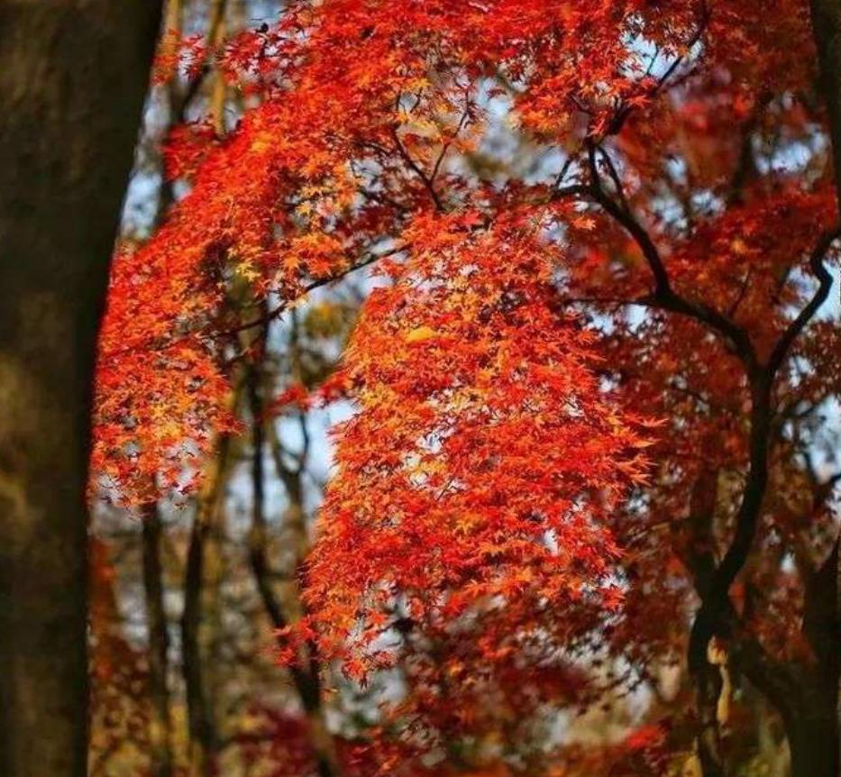 滿城最新疫情深度解析與觀點闡述