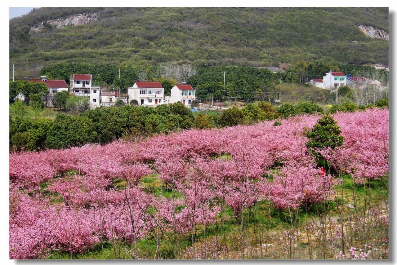 最新暴雨通知,科技智能守護(hù)安全,生活無憂預(yù)警通知