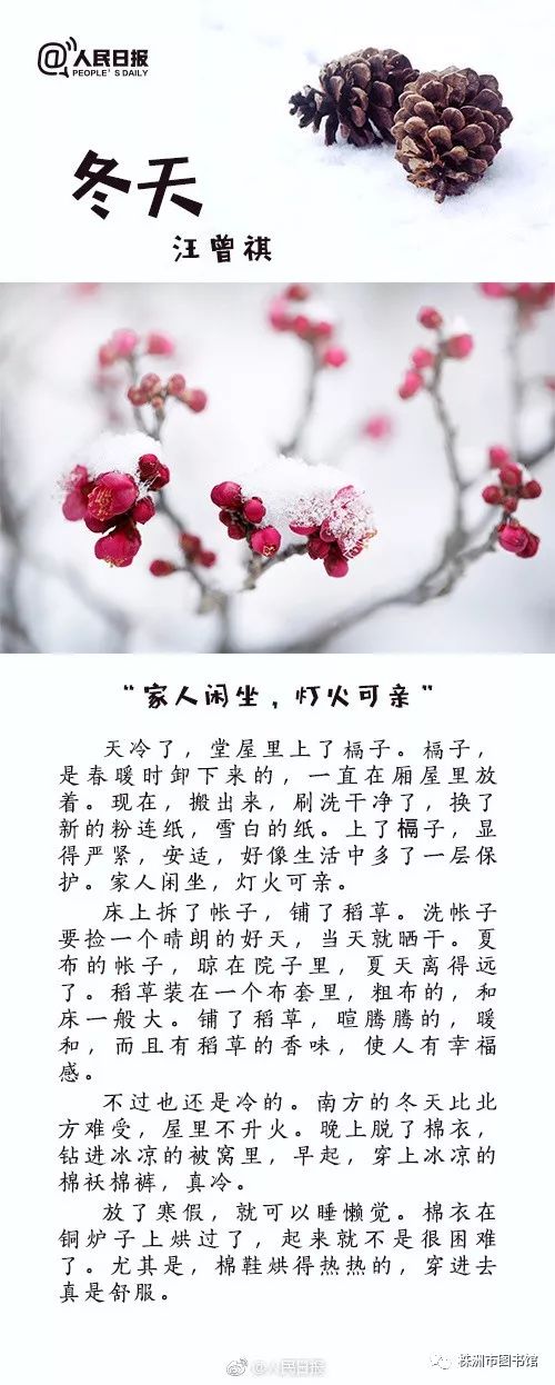 冬日暖陽下的溫馨日常,最新冬美文精選