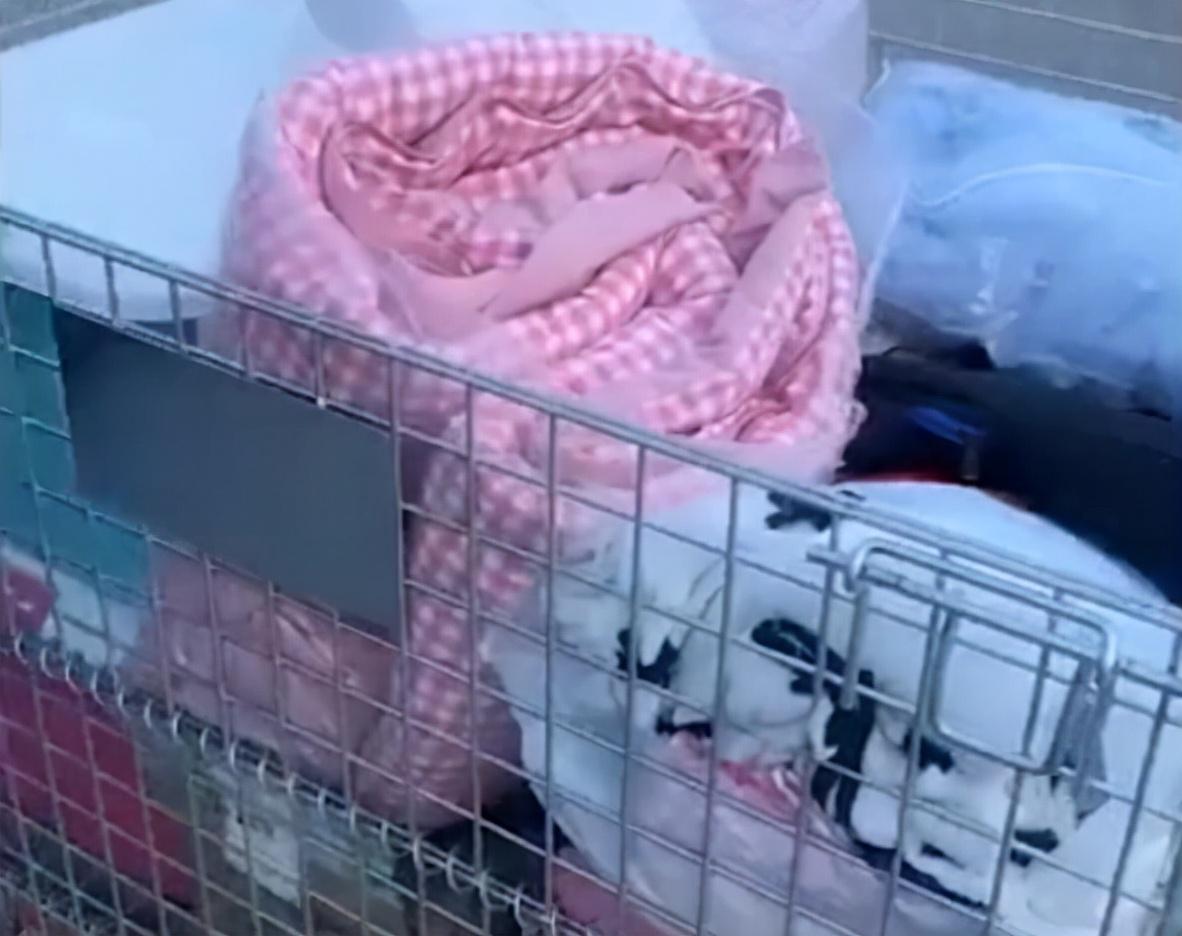 河北最新放假,探索小巷獨特風味的美食之旅