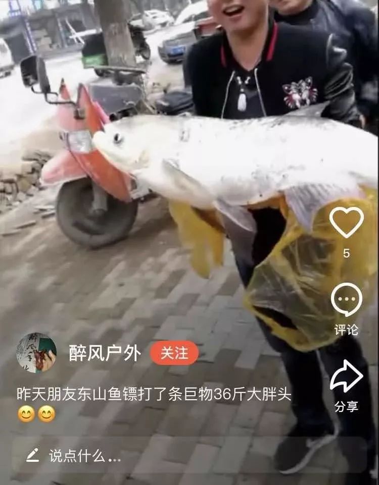 射魚神器進化升級,學習變革與自信成就之源