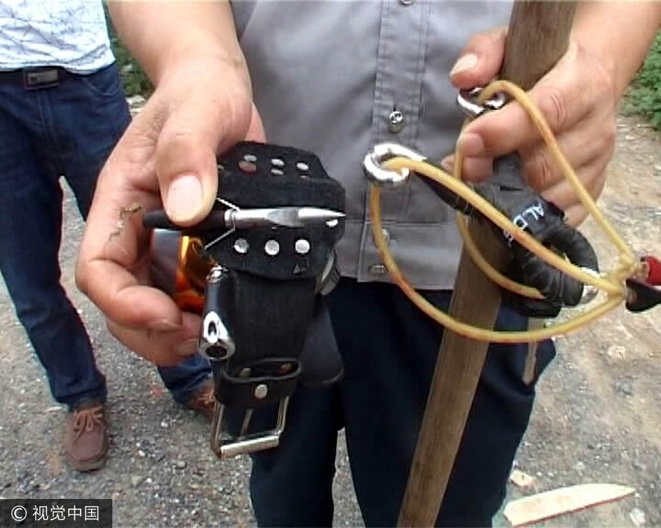 射魚神器進化升級,學習變革與自信成就之源