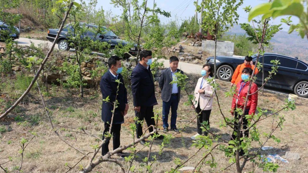 大田疫情實時更新,最新數據消息與動態速覽