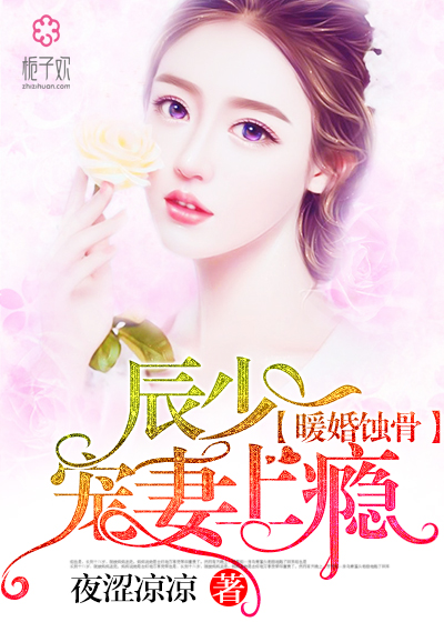 陸少寵上癮最新動態,日常趣事與真摯友情的獨特魅力